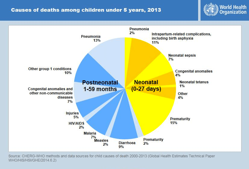 Causes of child mortality